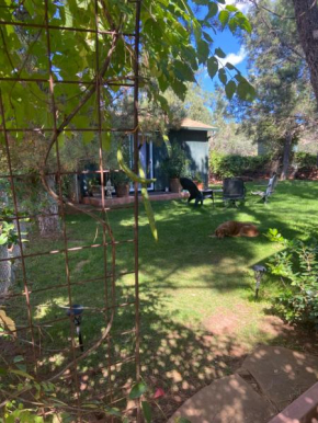 The Zen Space